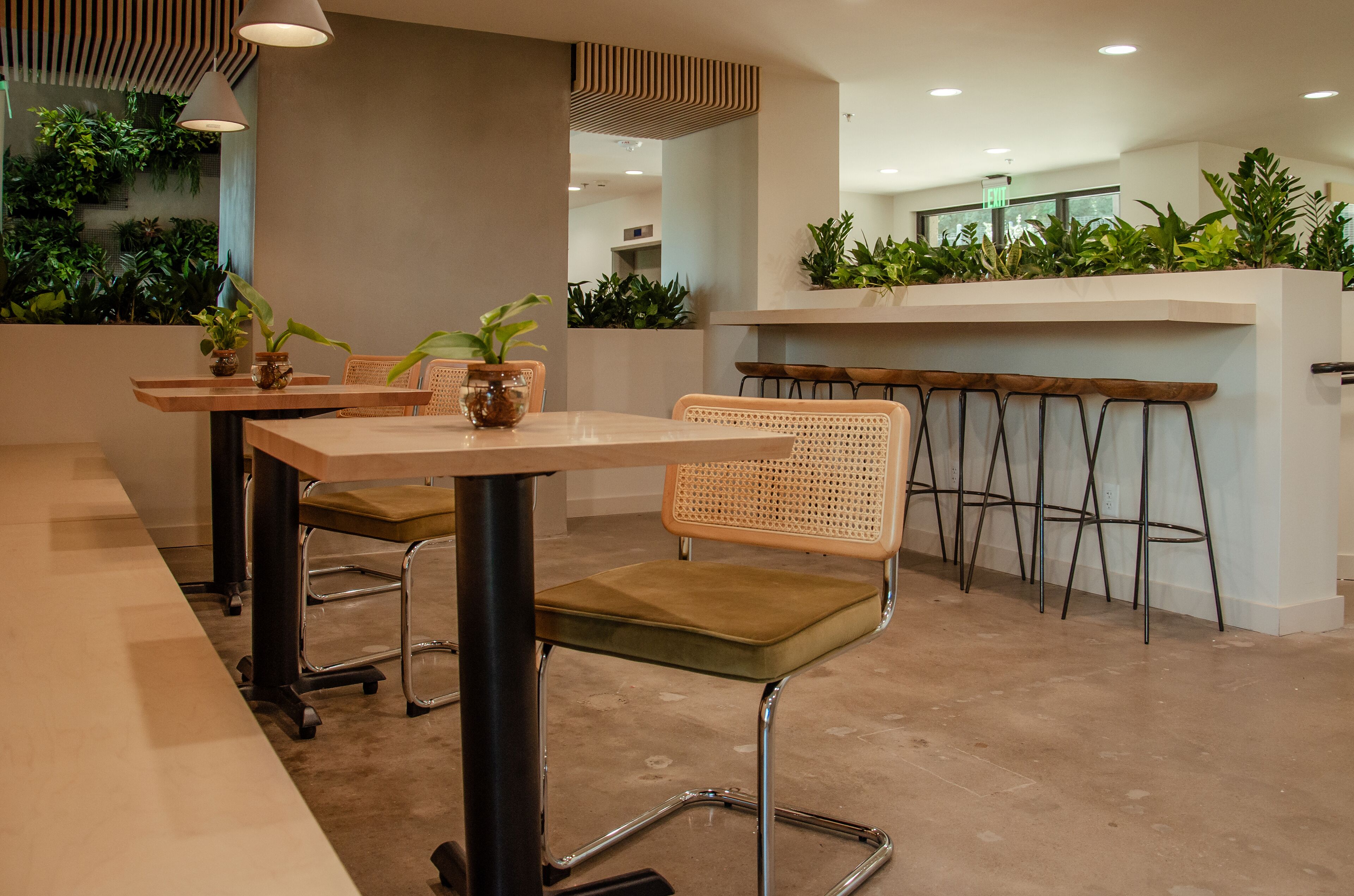 Un espacio interior moderno con una mesa larga y sillas, una zona de bar con taburetes, y plantas verdes en las paredes.
