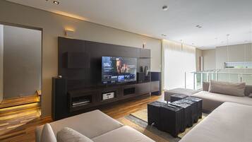 Smart TV, fireplace, DVD player, books