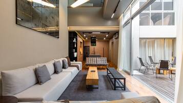 Smart TV, fireplace, DVD player, books