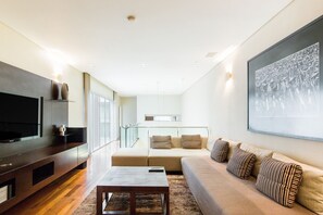 Älytelevisio, takka, DVD-soitin, kirjoja