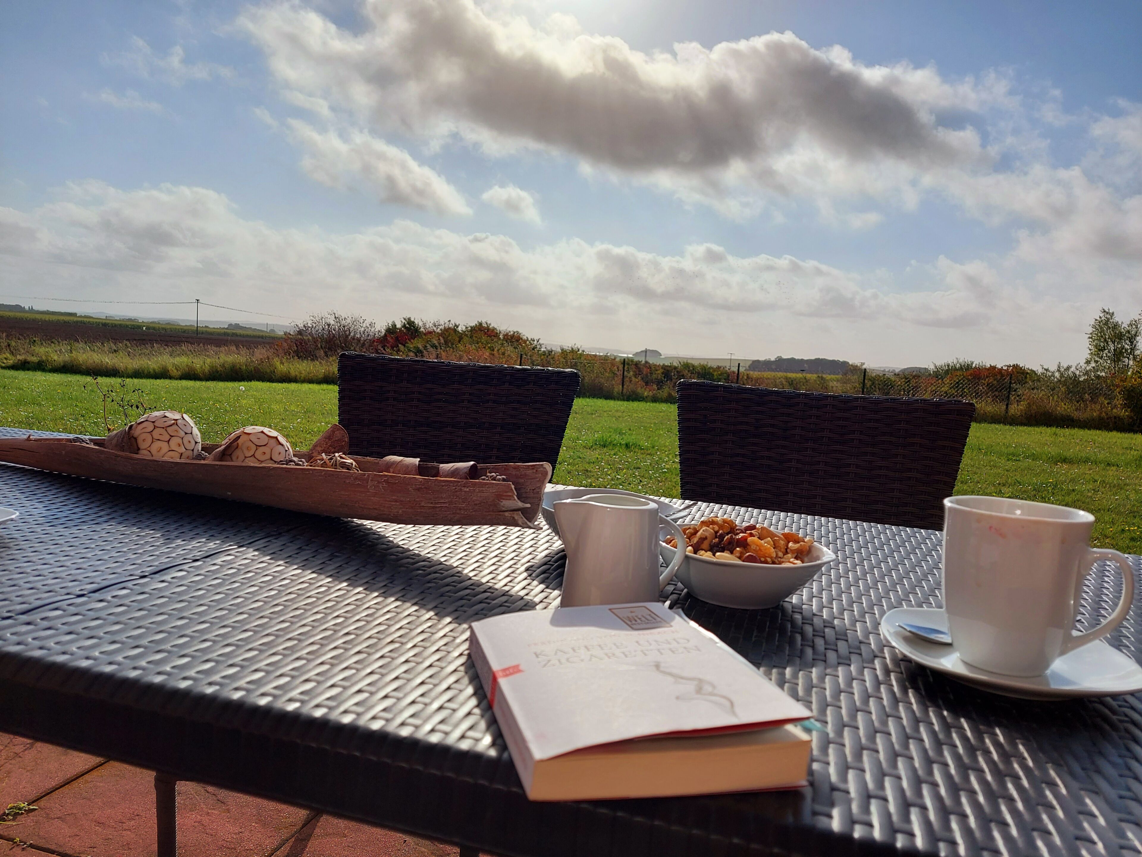 Une table avec un livre, une assiette de pâtisseries et deux tasses, installée à l’extérieur, avec vue sur un champ verdoyant et un ciel nuageux.