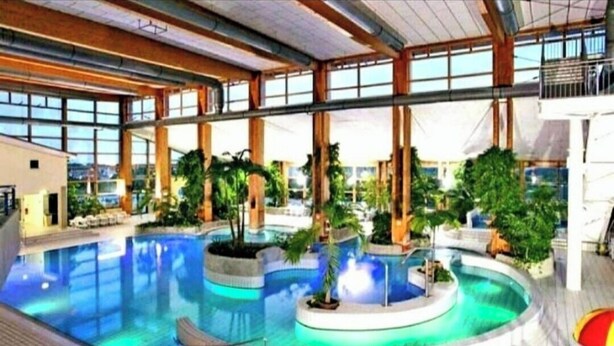 Une piscine intérieure dotée de plusieurs couloirs, entourée de palmiers et de plantes.