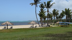 A beach with lounge chairs, thatched umbrellas, and a row of palm trees.