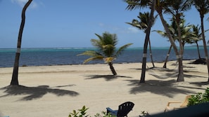 Plage, chaises longues, serviettes de plage