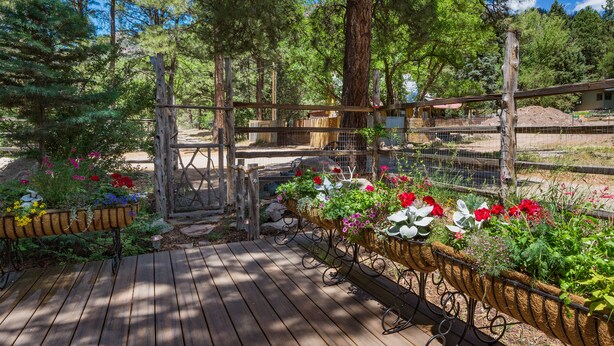 A wooden deck with flower planters and a fenced enclosure. - ⭐️Premier Host - Serene cabin, the best amenities, north end of James Ranch  (Durango)