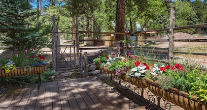 ⭐️Premier Host - Serene cabin, the best amenities, north end of James Ranch