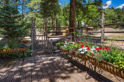 ⭐️Premier Host - Serene cabin, the best amenities, north end of James Ranch 