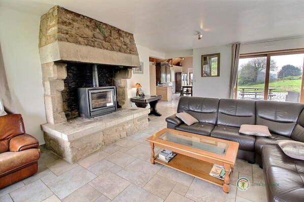 TV, fireplace, DVD player, books