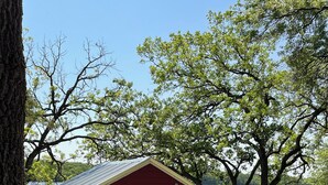 A small red cabin with a glass door, surrounded by grass and trees, near a body of water.