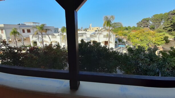 A view from a window with a wooden frame, overlooking a residential area with white buildings, palm trees, and a clear blue sky.