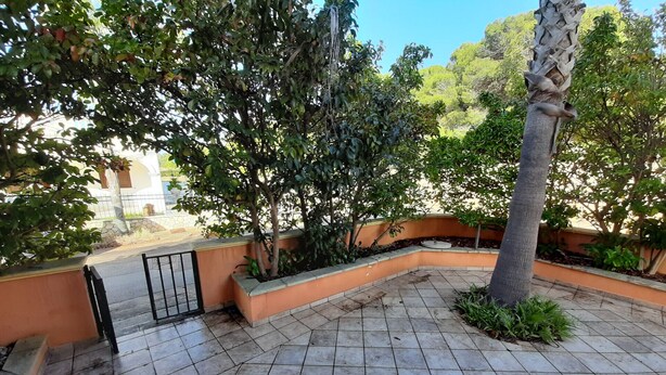 Une cour avec un sol carrelé, un mur incurvé et divers arbres.