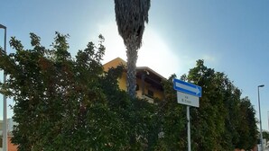 A street view with a palm tree, a building with a yellow facade, and a blue directional sign. - Red House Pescoluse (Marina di Pescoluse)