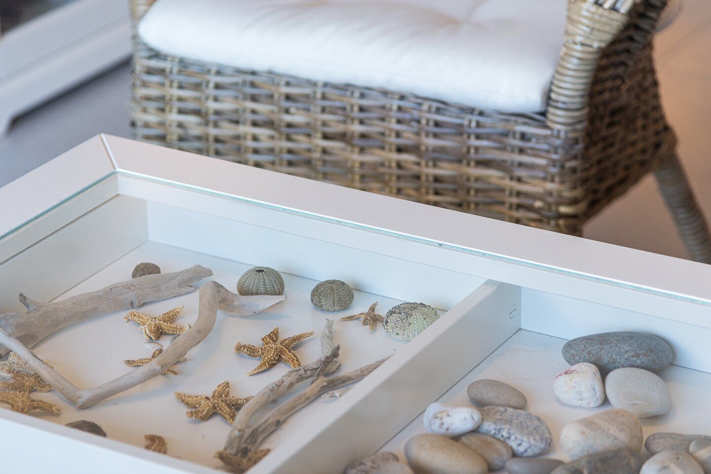 Una vitrina de vidrio con ramas de madera a la deriva, estrellas de mar y piedras lisas.