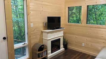 TV, DVD player, books