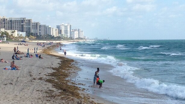 A beach with people sunbathing and walking along the shore, with buildings in the background. - 5 min walk to beach on inter coastal waterway (Fort Lauderdale)