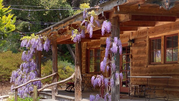 Una cabaña de madera con un porche decorado con enredaderas de glicina morada.