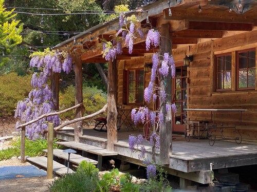Private Creekside Cabin in See Canyon | Gated | Near Avila, Pismo & SLO