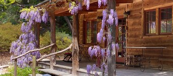 Private Creekside Cabin in See Canyon | Gated | Near Avila, Pismo & SLO