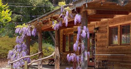 Private Creekside Cabin in See Canyon | Gated | Near Avila, Pismo & SLO