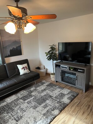 Smart TV, fireplace, DVD player, books