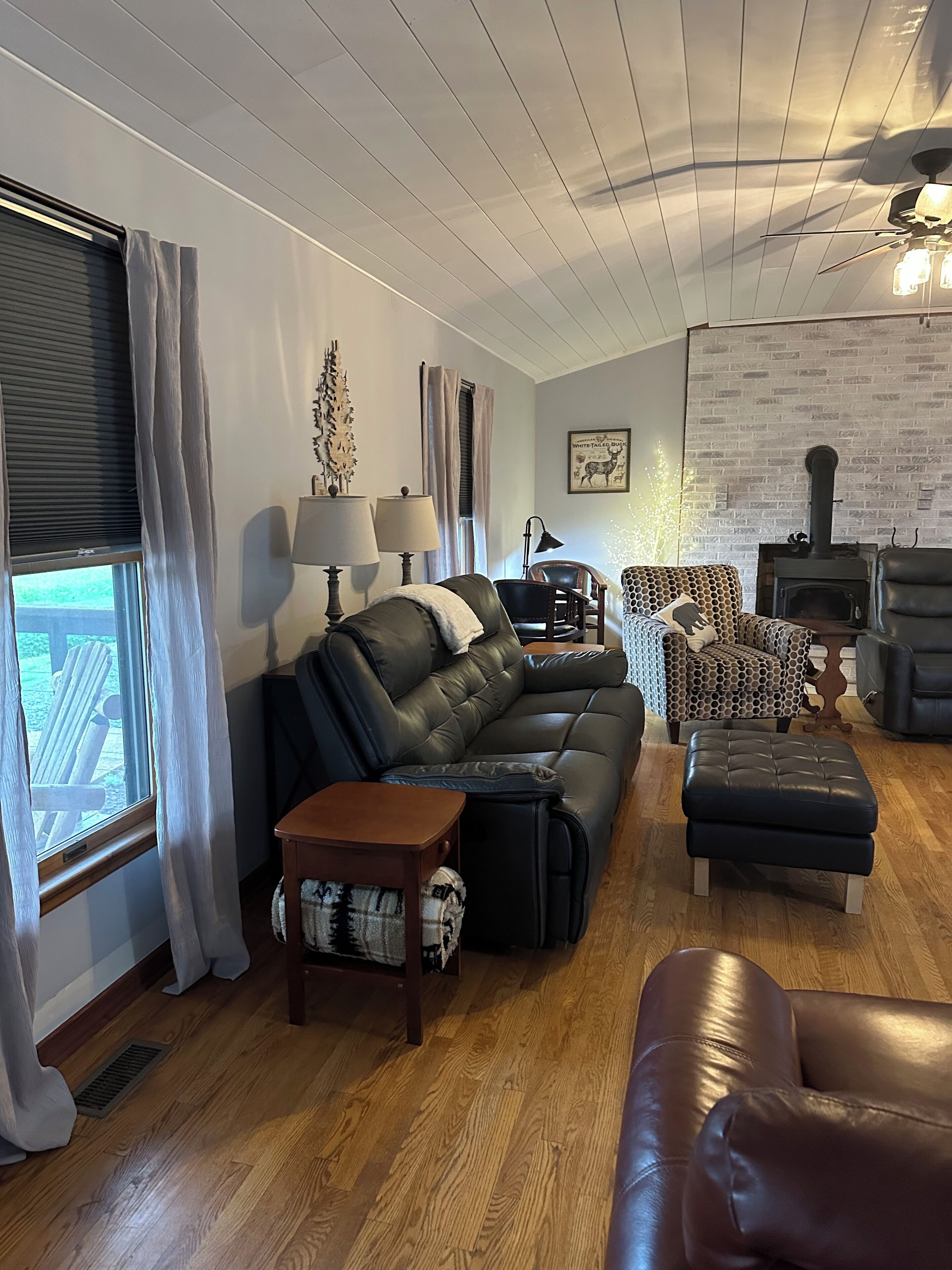 Mountain & River Paradise, 3 Kings, Sleeps 10, Canoes & Kayaks - Luray, VA