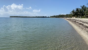 Beach/ocean view