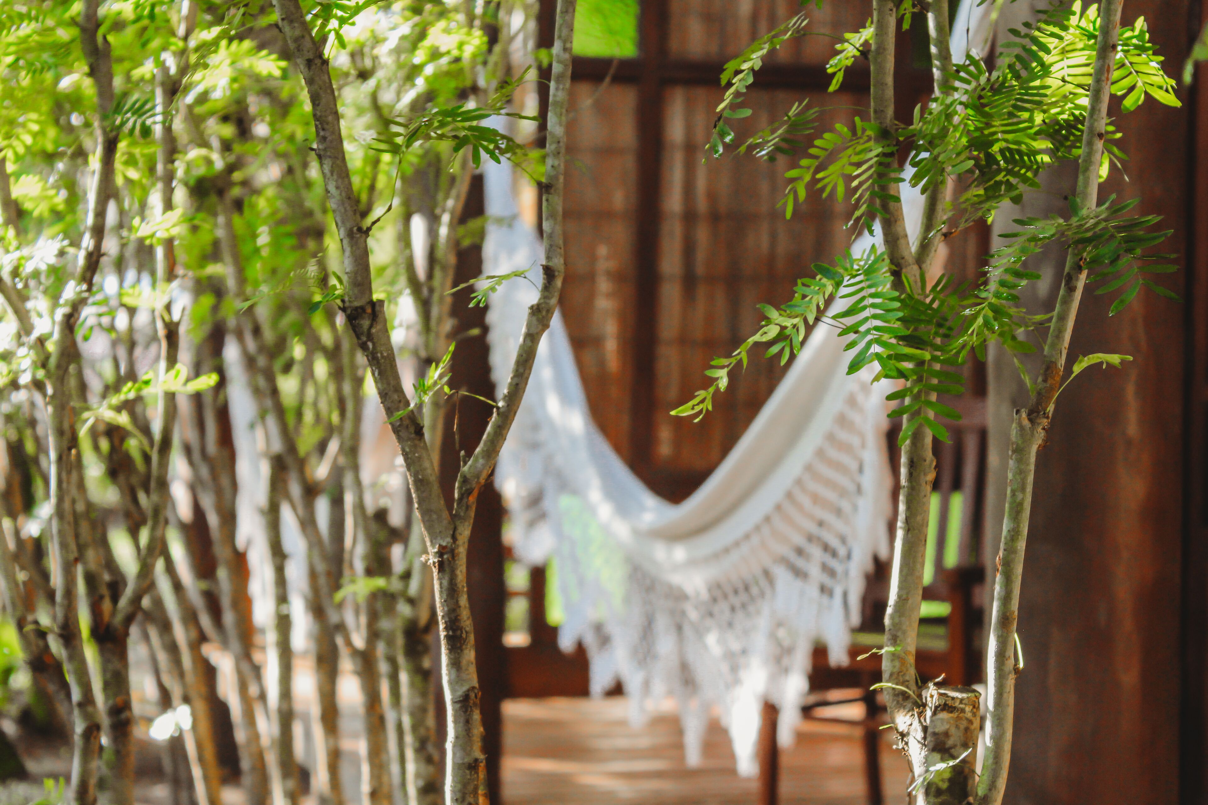 A hammock suspended between trees in a wooden structure.
