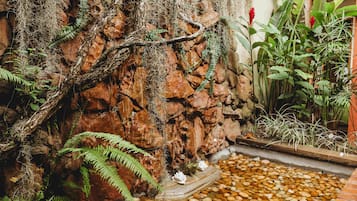 21-英寸纯平电视 (配备卫星频道)、电视