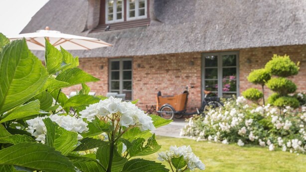 A rustic building with a thatched roof, brick walls, and a garden with white flowers and green foliage. - House Hansen Hus, Germany (Sylt)