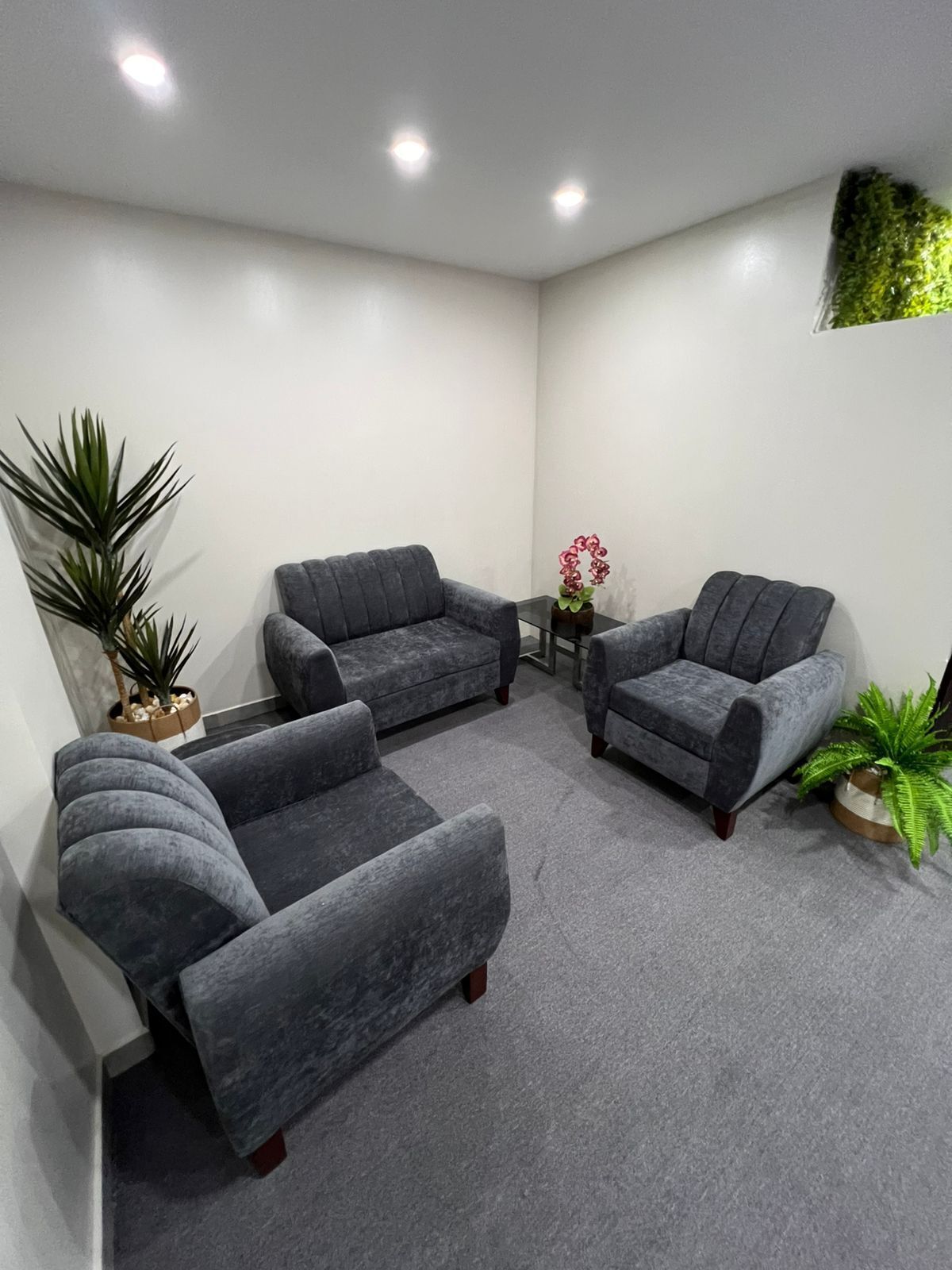 A room with three grey sofas, a small table with a vase of flowers, and potted plants.
