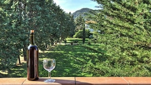 A bottle of wine and a glass on a ledge with a view of a park and trees. - Beautiful apartment in villa for 5 people with WIFI, pool, TV and veranda (Pomarance)