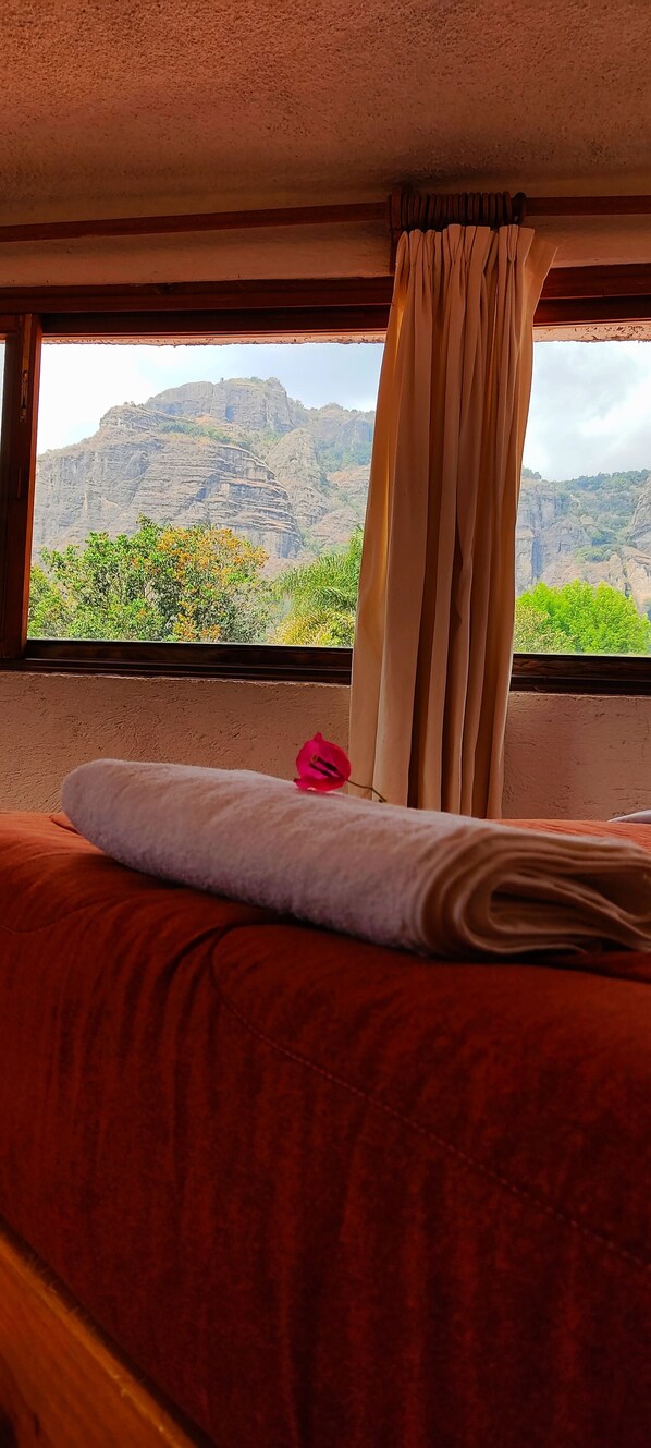 Vista desde la propiedad