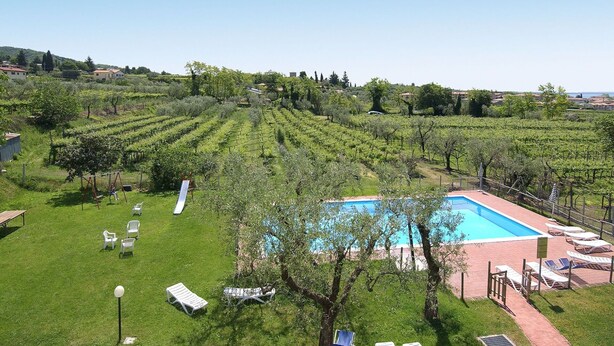 A vineyard with rows of grapevines, a swimming pool surrounded by lounge chairs, and a view of the surrounding landscape.