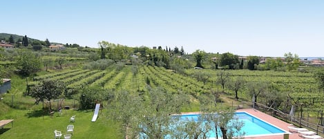 Alberca