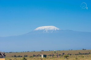 Miscellaneous - Amanya Tent Sleeps 2 with Mt Views (Amboseli)