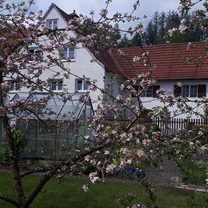 Terrain de l’hébergement 
