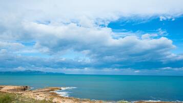 Accommodatie ligt op het strand