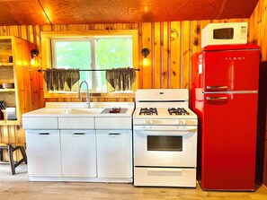 Fridge, microwave, oven, stovetop - Rustic Lake View Cabin in Heart of Adirondacks (Indian Lake)