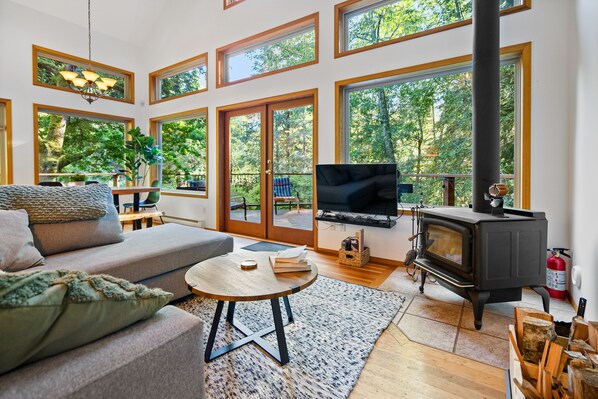 Smart TV, fireplace, books, stereo