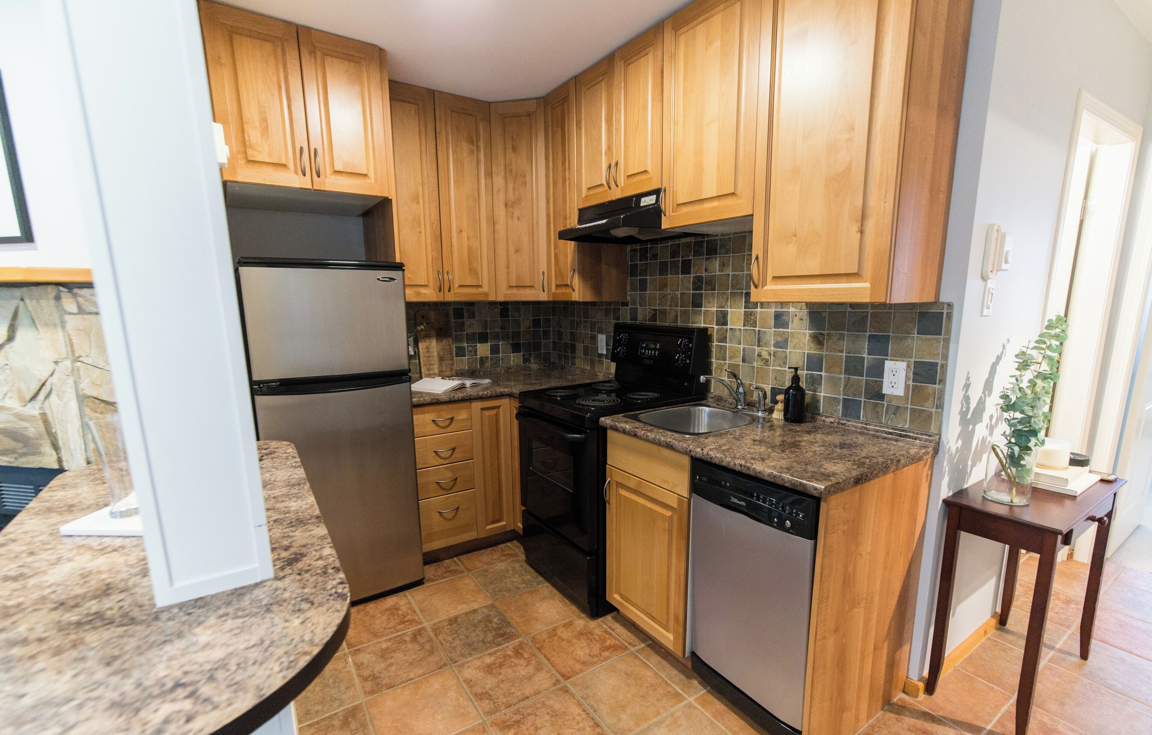 Fridge, oven, stovetop, dishwasher