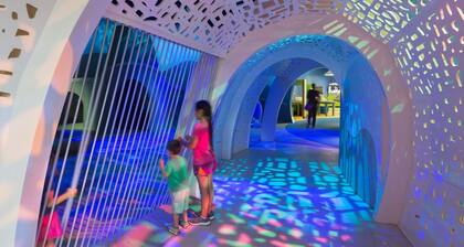 Historic home, Heated Mini Pool, near downtown San Antonio! Walk to Zoo & Witte!