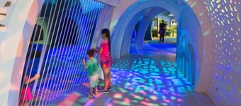 Historic home, Heated Mini Pool, near downtown San Antonio! Walk to Zoo & Witte!