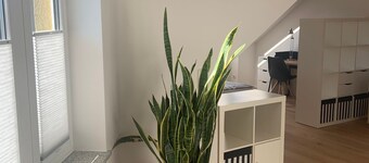 Modern 50 sqm apartment with living room, bedroom and balcony