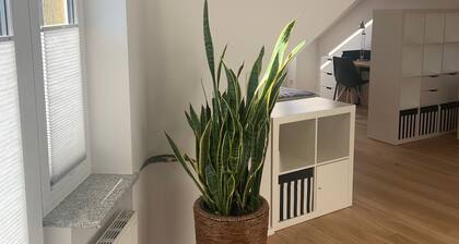 Modern 50 sqm apartment with living room, bedroom and balcony