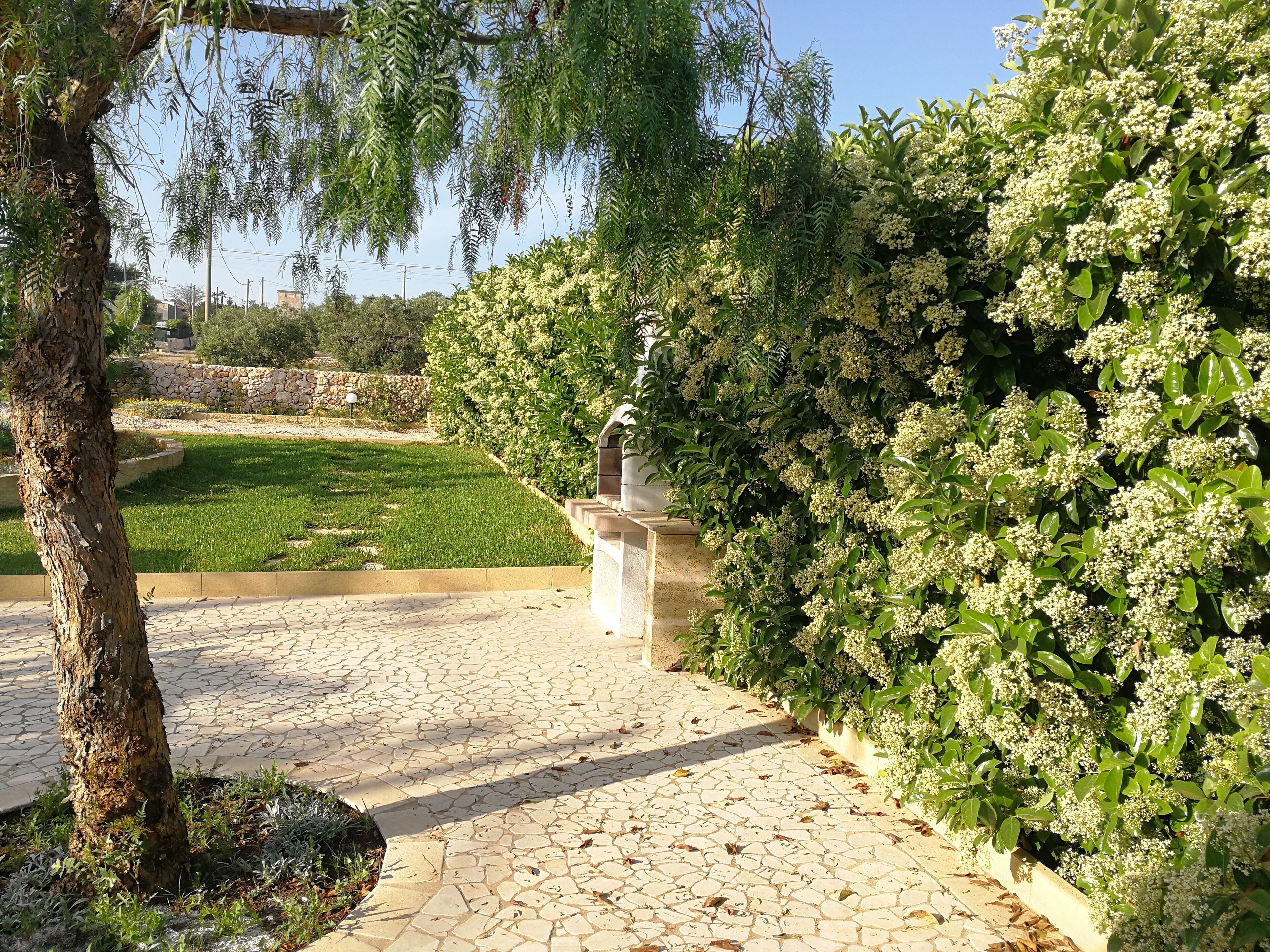 Un sendero empedrado en un jardín con un banco de piedra, abundante vegetación y un cielo despejado.