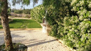 A paved garden pathway with a stone bench, lush greenery, and a clear sky. - Blue House Torre Pali Pescoluse (SALVE)
