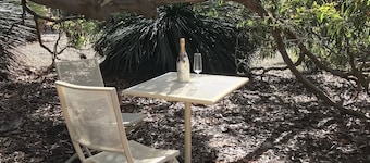 Wedgetaildown Accommodation - Into the Wild