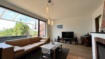 Télévision, cheminée, table de tennis de table