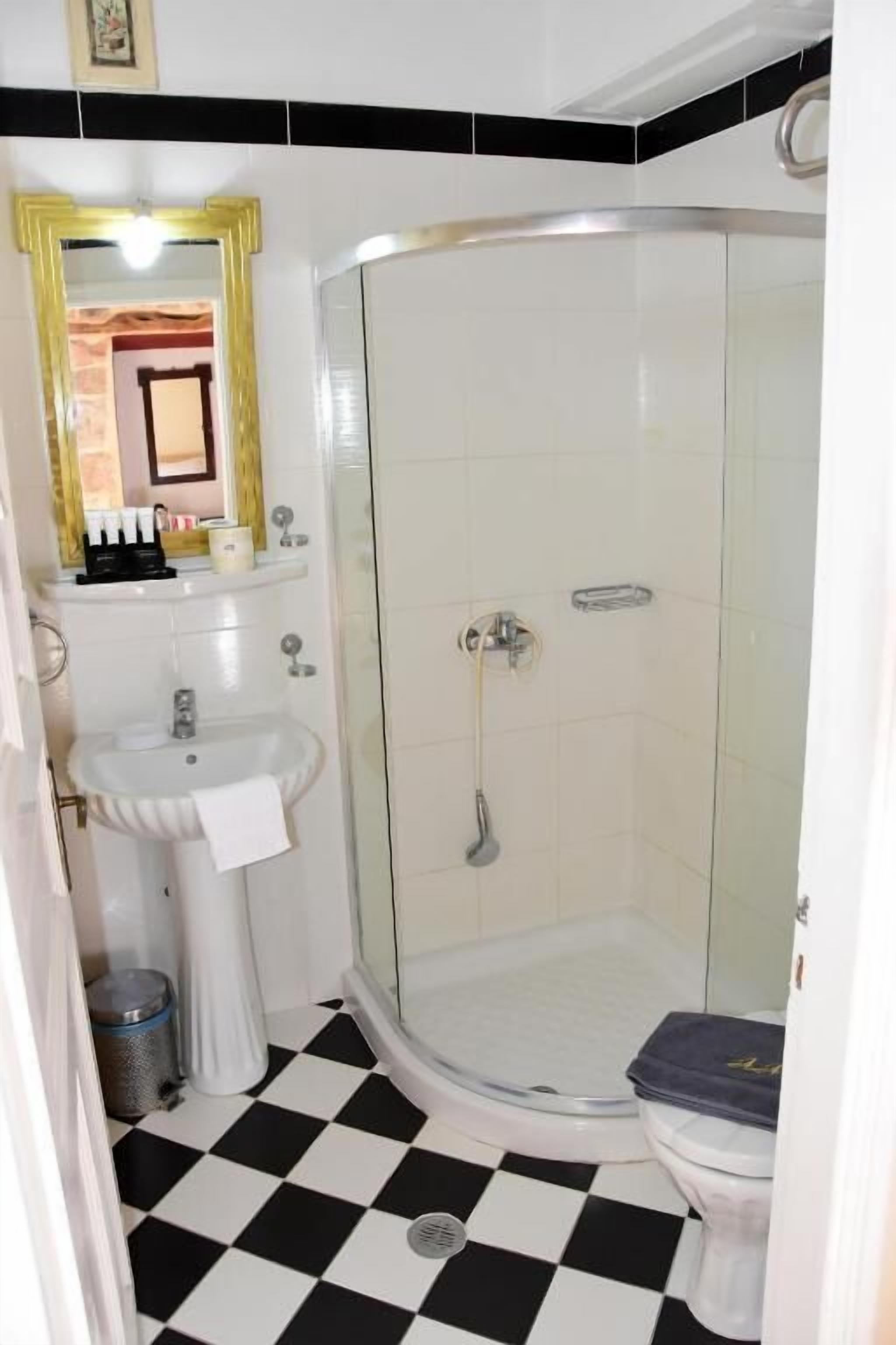 A bathroom with a white sink, a mirror, a shower enclosure, and a toilet.