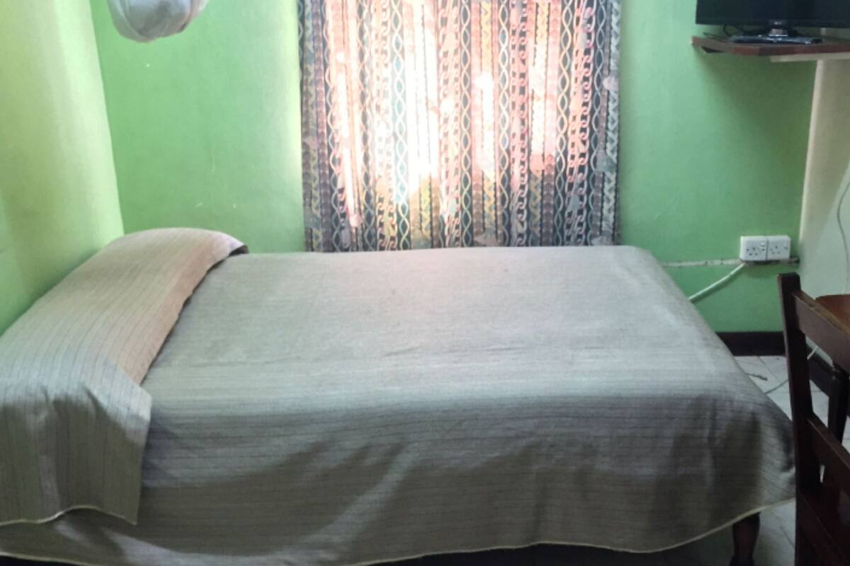 A single bed with a plain bedspread in a room with green walls and a patterned curtain.